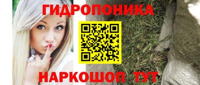круглые Гусев