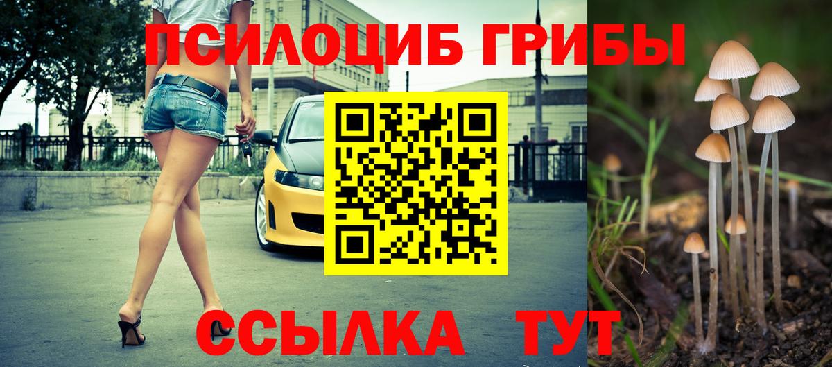 Псилоцибиновые грибы Magic Shrooms Нефтекумск