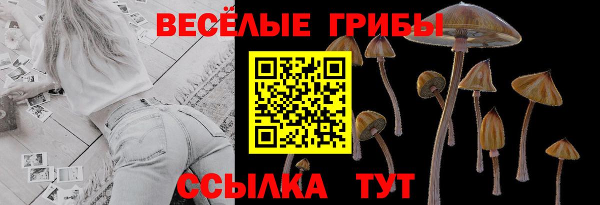 Нефтекумск  Галлюциногенные грибы Magic Shrooms  Вход с VPN 